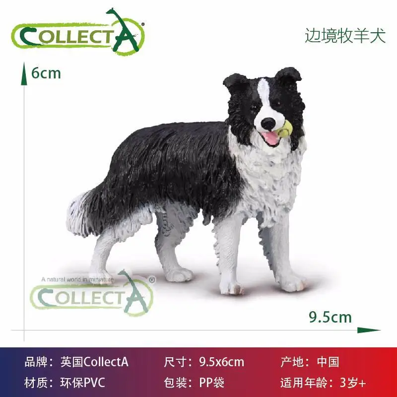 Safari Border Collie Animal Toy Model - AliExpress 26
