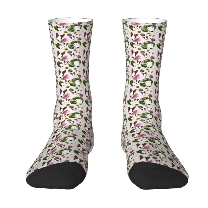 Calcetines con estampado Tropical para hombre, medias de vestir Unisex, Kawaii, Bull Terrier, Dog, primavera, verano, Otoño e Invierno