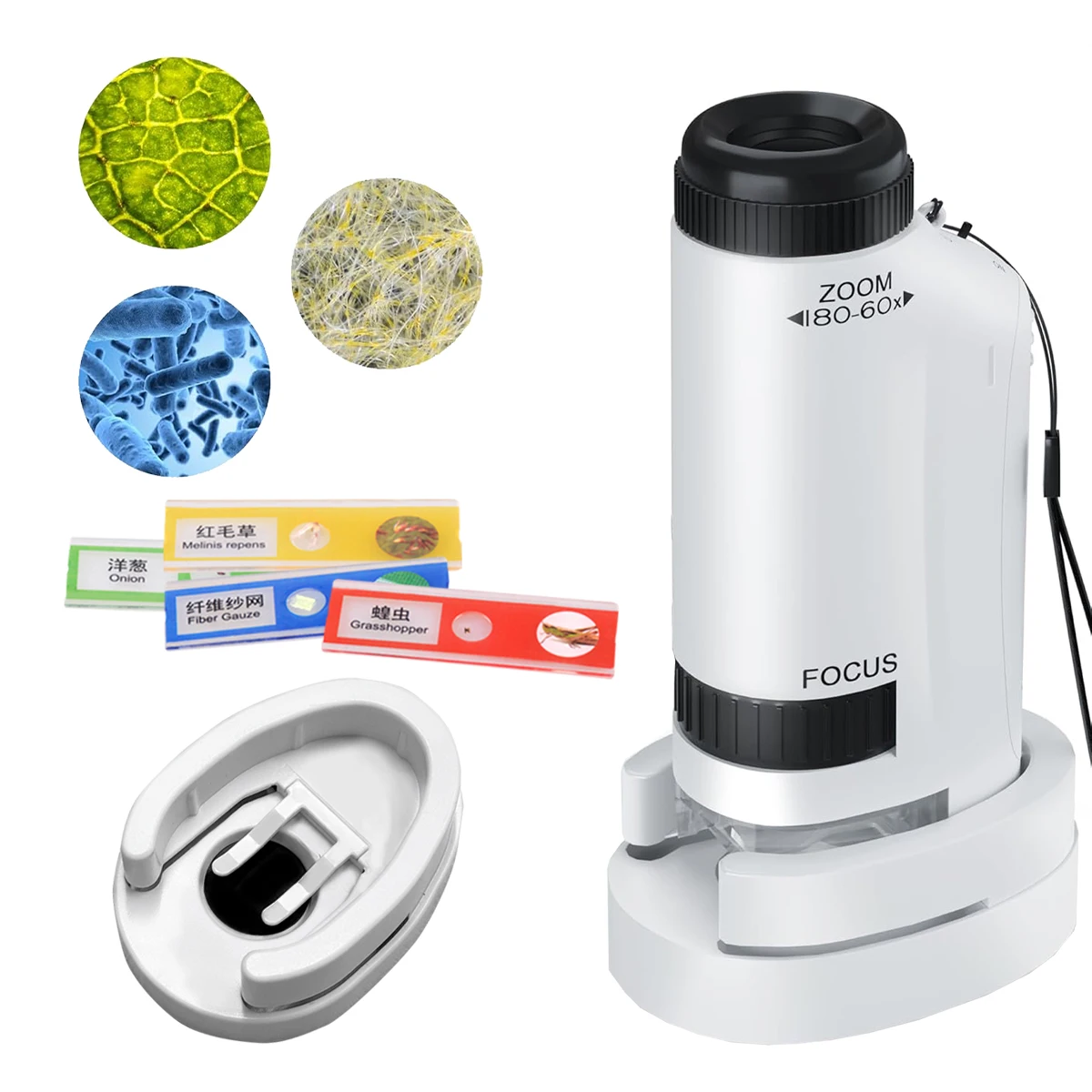 Mini Microscope Handheld Toys kits,  Microscope with LED Lights and 2 AG13 Button Batteries, Biological Science Gifts for Kids