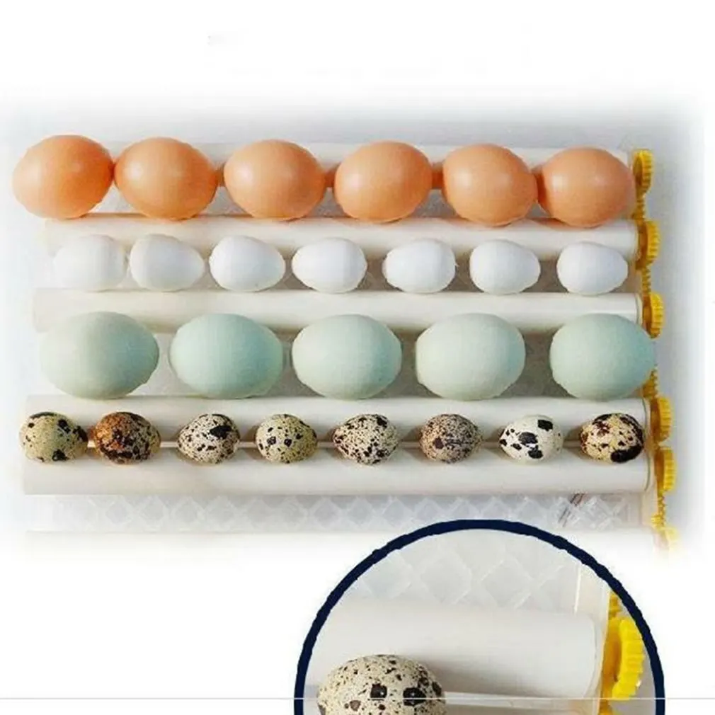 110V/220V Rumah Tangga 16 Telur Inkubator Daya Ganda Cerdas Otomatis Penetas Telur untuk Ayam Bebek Angsa Burung Merpati Puyuh