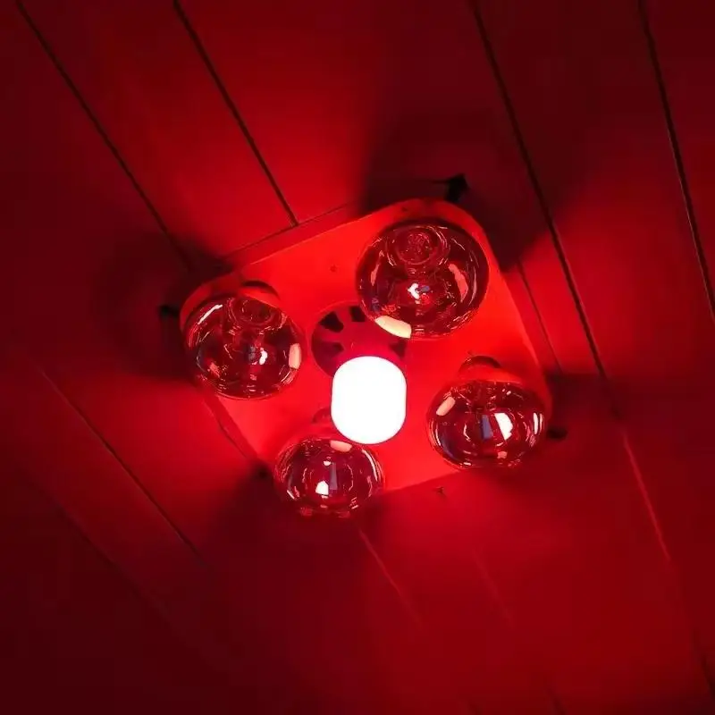 High Power Red LED Light Bulb E27/B22 AC 220V 5W 10W 15W 30W High Brightness Spot Light Festive New Year Bulb Christmas Lights