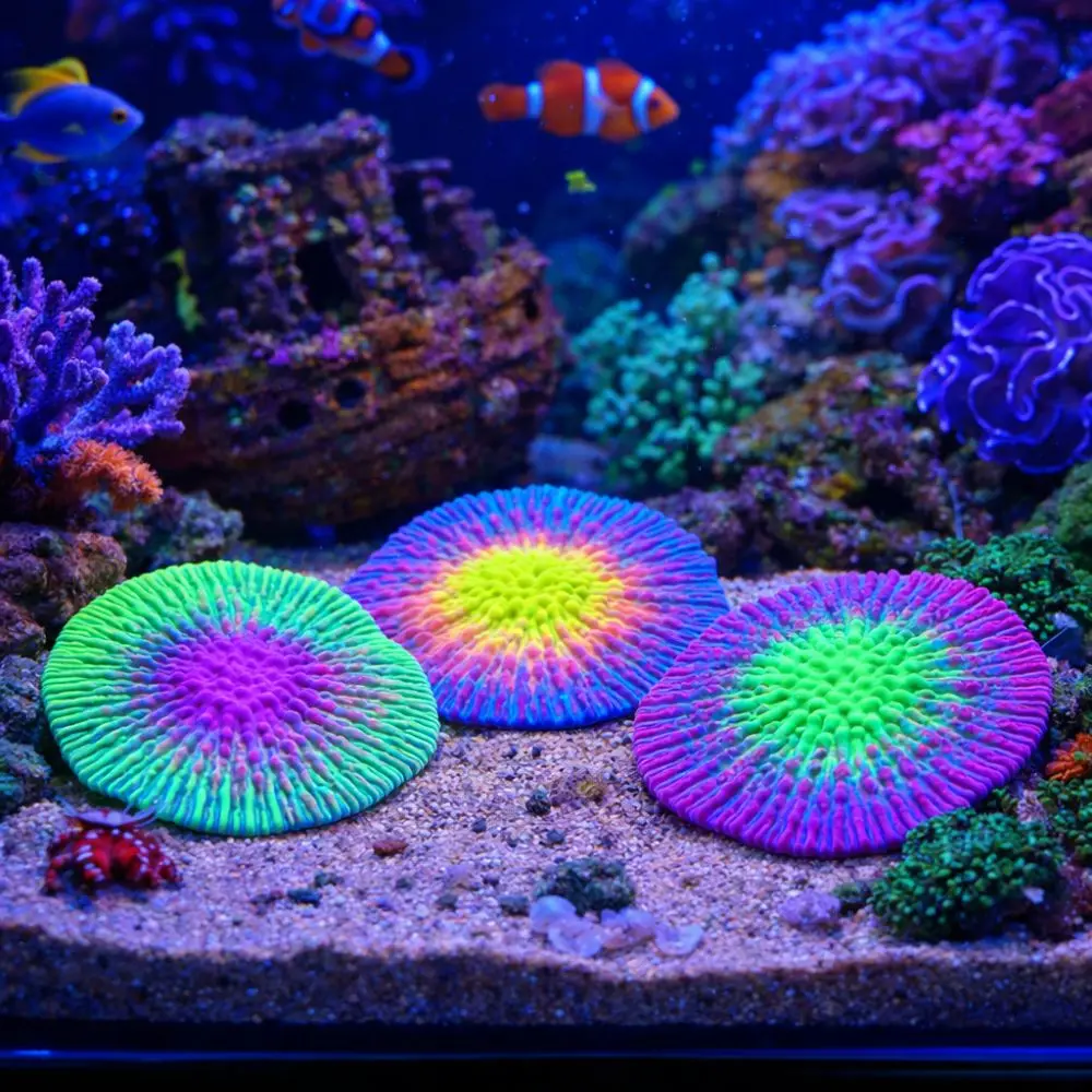 

Decorative Realistic Silicone Coral Plant Colorful Fluorescence Simulation Coral Non-Toxic Luminous Coral Fish Tank Landscaping