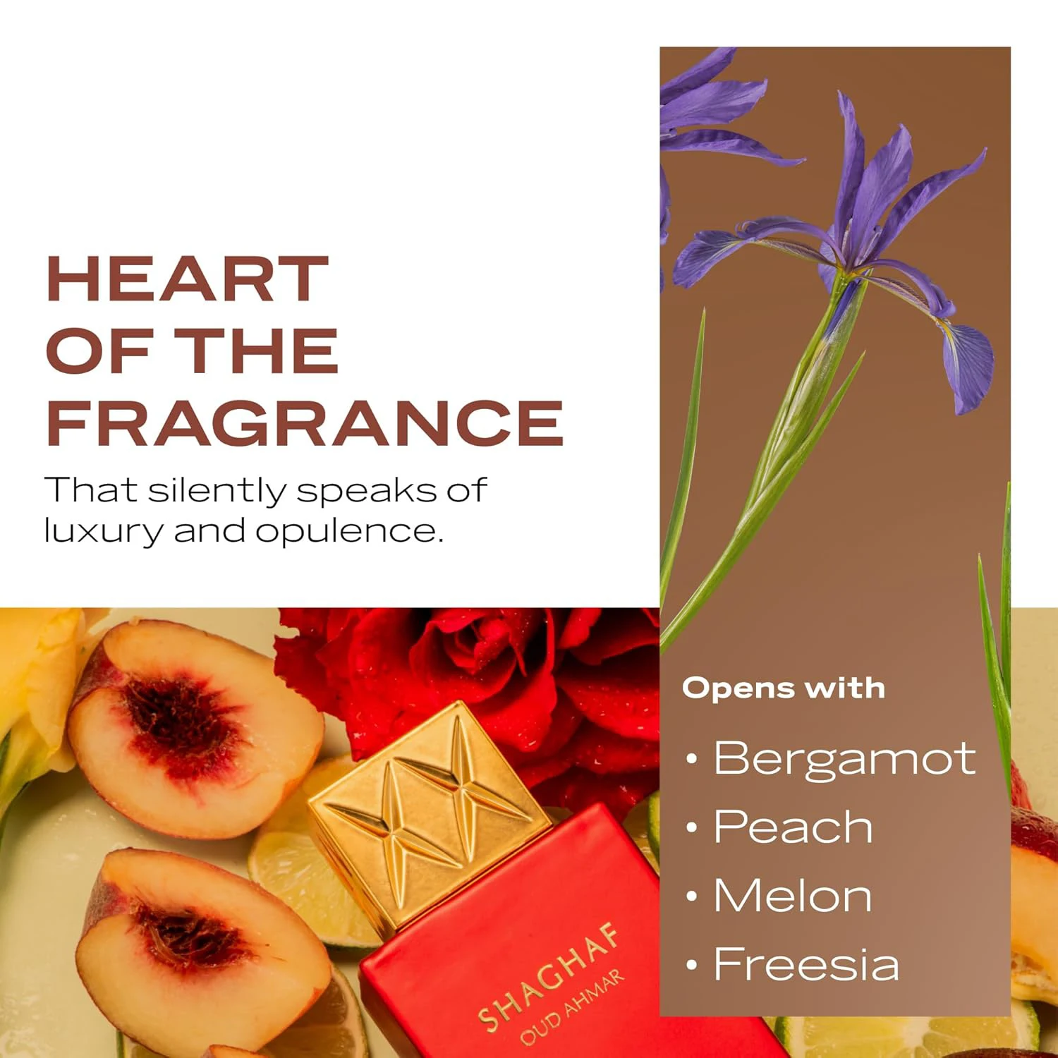 السويسري العربي Shaghaf Oud Ahmar، منتجات فاخرة من دبي، عطر بخاخ EDP شخصي يدوم طويلاً، 2.5 أونصة