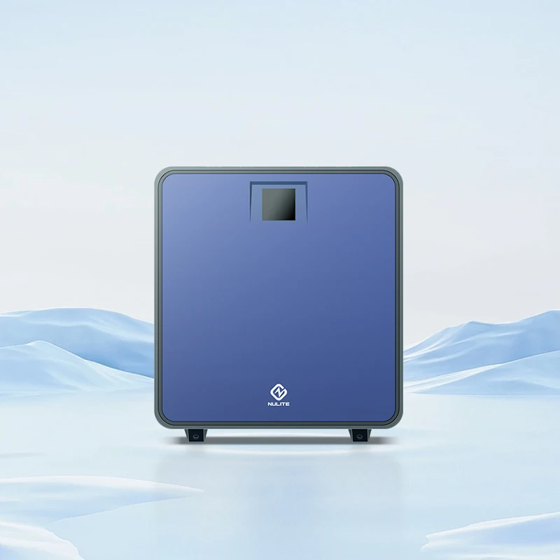 Monobloc R290 Groun…