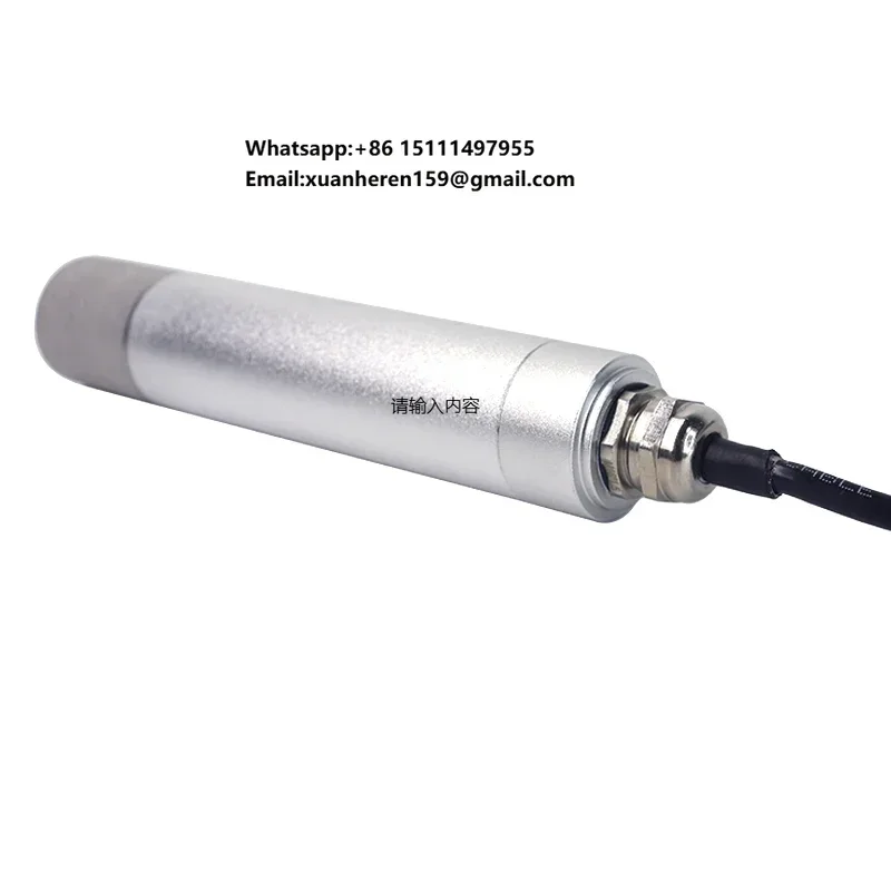 hot sale Agricultural gas concentration detection fresh air systems high-precision RY-CH2S H2S Hydrogen sulfide SENSOR