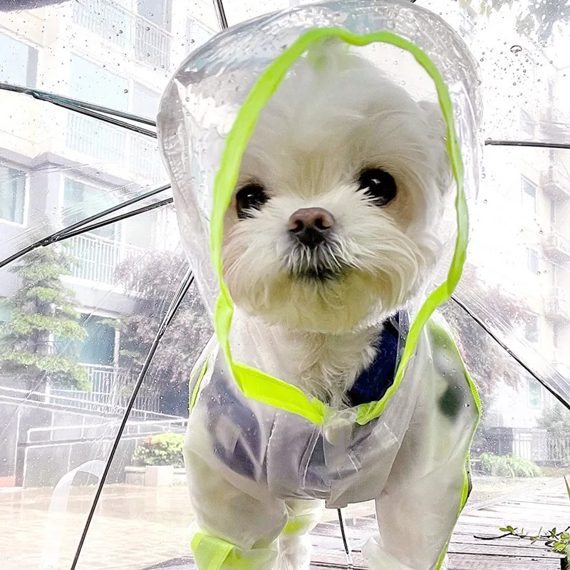 

Raincoat for Dog, Fluorescent Color, Transparent, Matte, Four-legged, Waterproof, All-inclusive, Pet Clothes Supplies