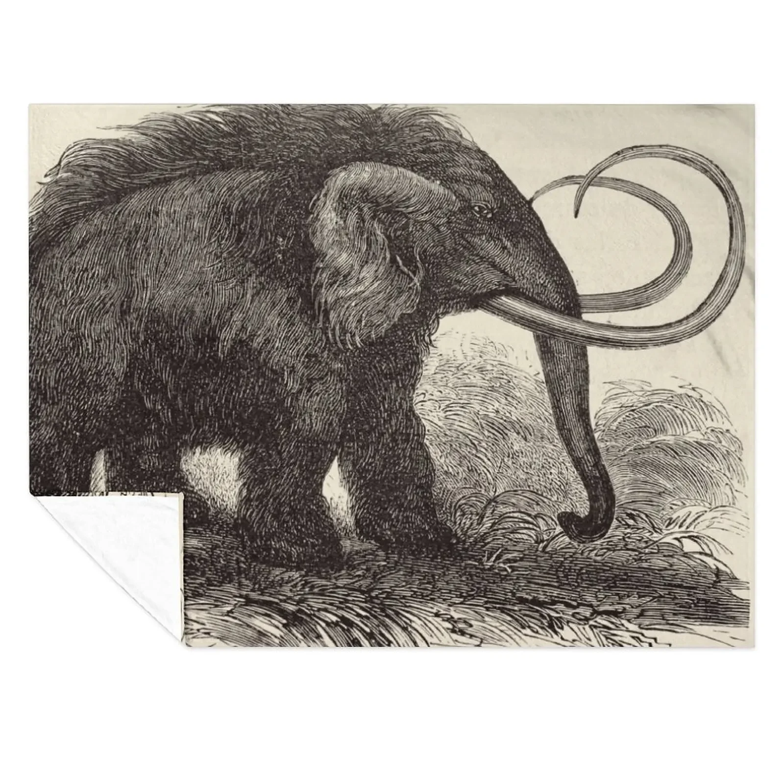 

Jean Gauchard - Woolly Mammoth engraving Throw Blanket Picnic halloween Bed covers Beautifuls Blankets
