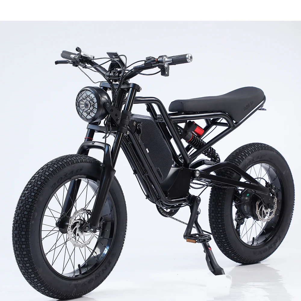 Electric Bike 48V 18AH 1500W/750W Motor 20