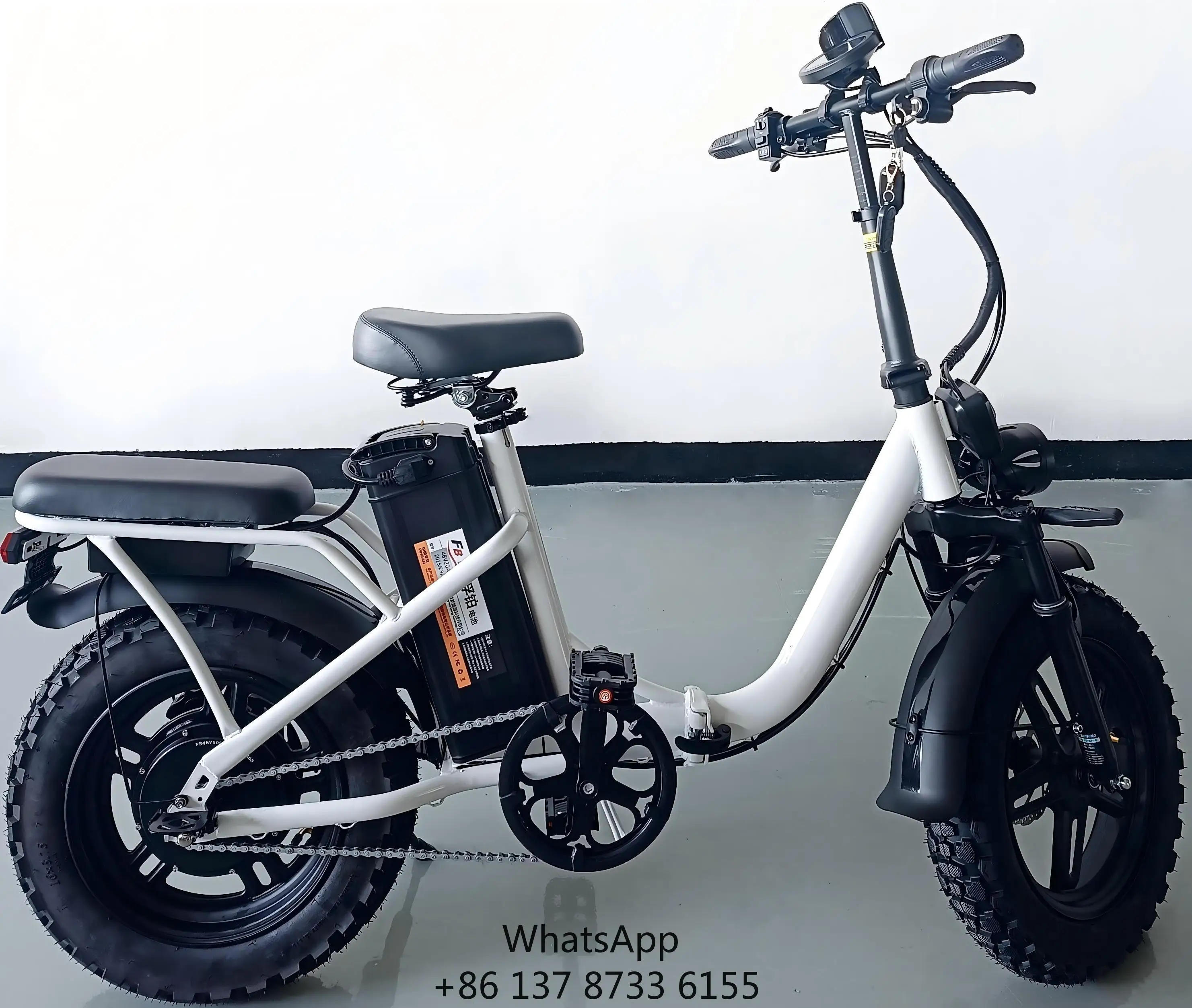 

Hot Sale 16-inch High-carbon Steel Frame Style 800W20A High-speed Power Lithium Battery Rear Hydraulic Brakel Folding Bike