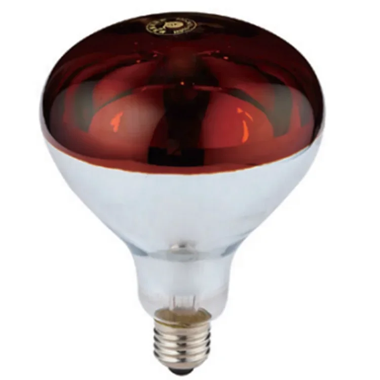 

Most Popular Products Roasted Red 230V Reptile Breeding Bulb Lampshade