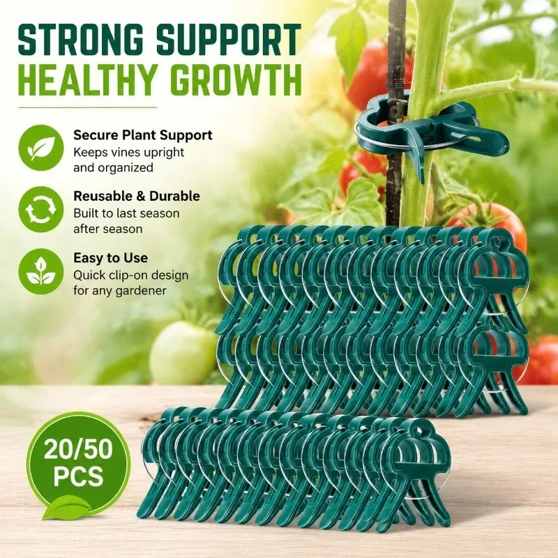 Plastic Plant Support Clips Horticulture Kit for Phalaenopsis Tomato Vine Fixation Gentle Stem Fastener Prevent Branch Breakage