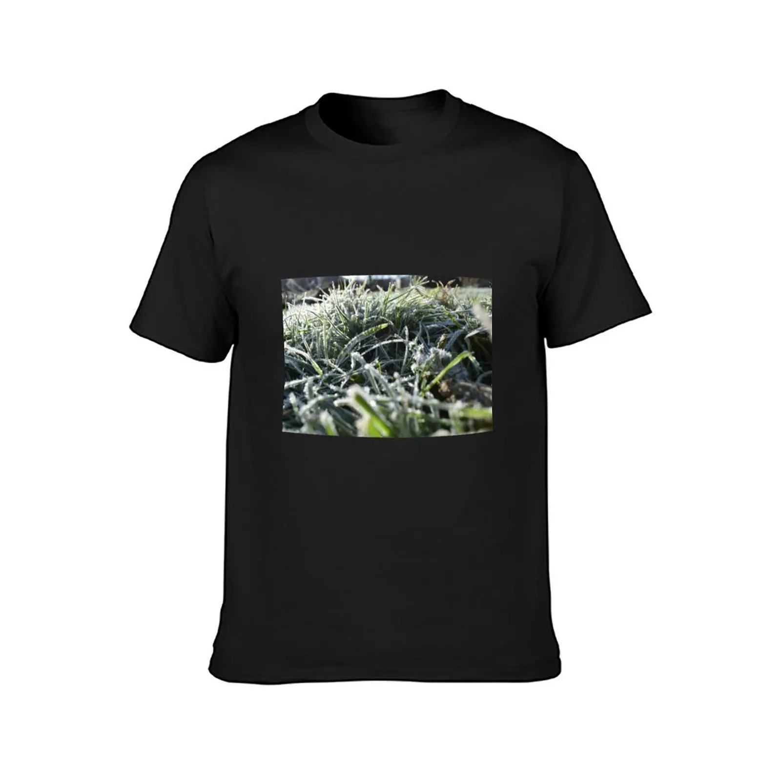 morning grass in the winter with water and snow T-Shirt heavyweights sweat clothes for men