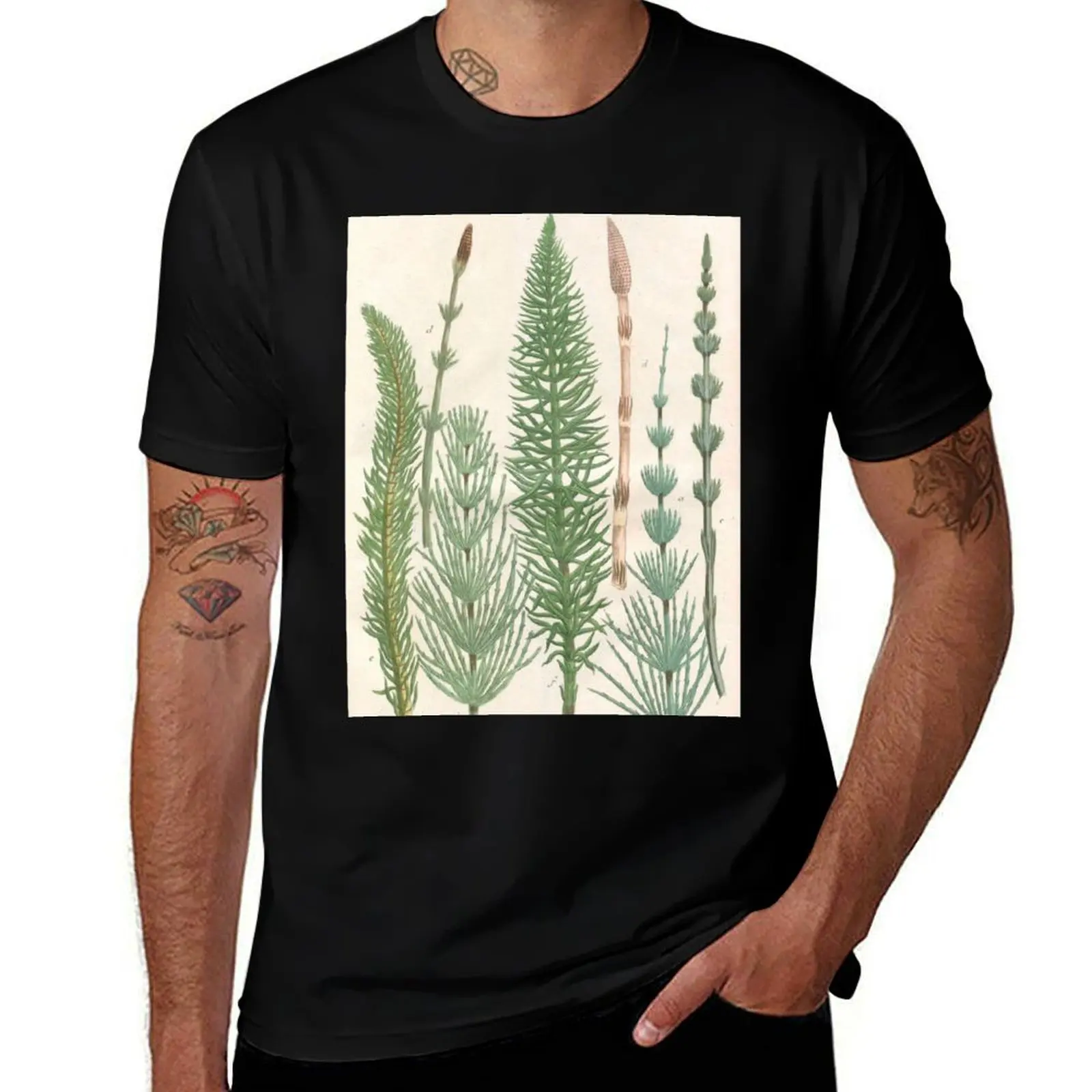 Botanical Horsetails T-Shirt oversized t shirt summer clothes basketball graphic tees mens graphic t-shirts funny