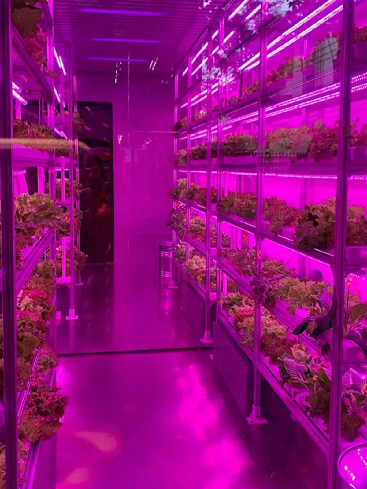 Soilless cultivation equipment Plant factory display Roof hydroponics Pipeline planting Leafy vegetables Melons and fruits