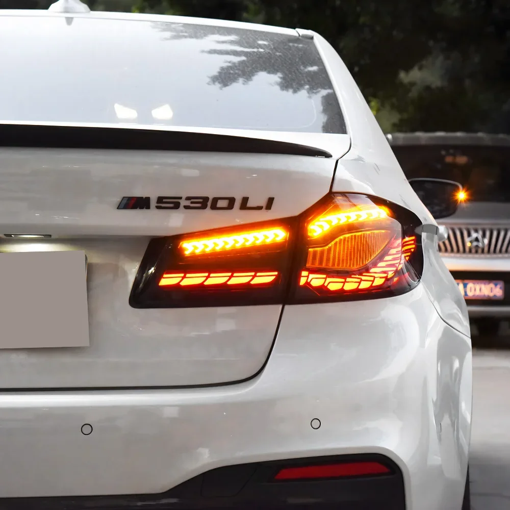 لسيارات BMW 5 Series G30 G38 530i 540i 550i 2018-2020 LED مجموعة المصابيح الخلفية للسيارة ترقية مقياس التنين المزدوج ملحقات الضوء الخلفي