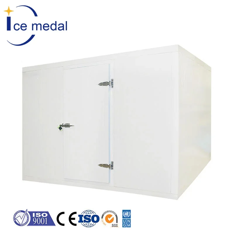 Easy to install cold store freezer room cold storage for food storage