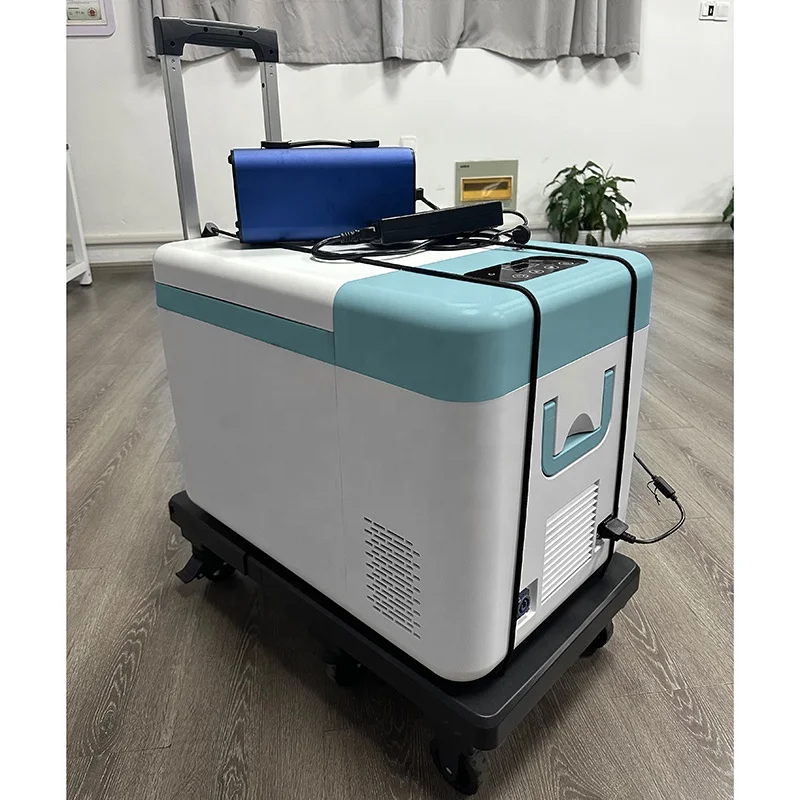 25L Factory-made Portable Car Freezer