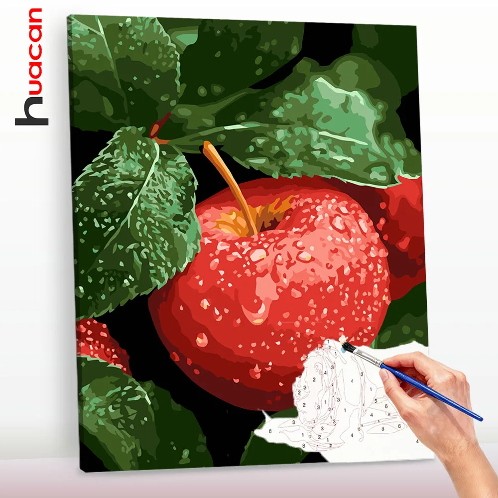 Huacan Digitales Ölgemälde Apfel Malen nach Zahlen Obst Malen nach Zahlen Set für Erwachsene Bastelset DIY Geschenk ﻿ ﻿
