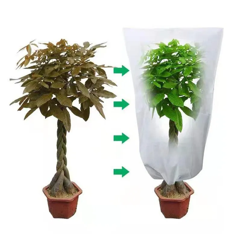Plant Cover Winter Warm Cover Tree Shrub Plant Protecting Bag Frost Protection For Yard Garden Plants Small Tree Against Cold