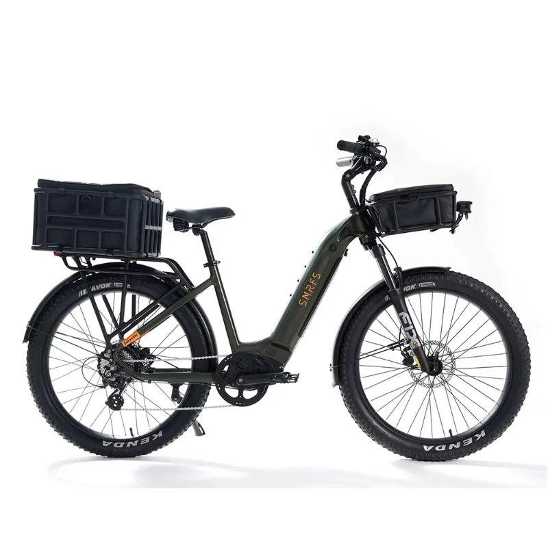 

Electric Mountain Bike 48V All-Terrain Electric Bicycle with Lithium Rear Hub Motor and Fat Tire