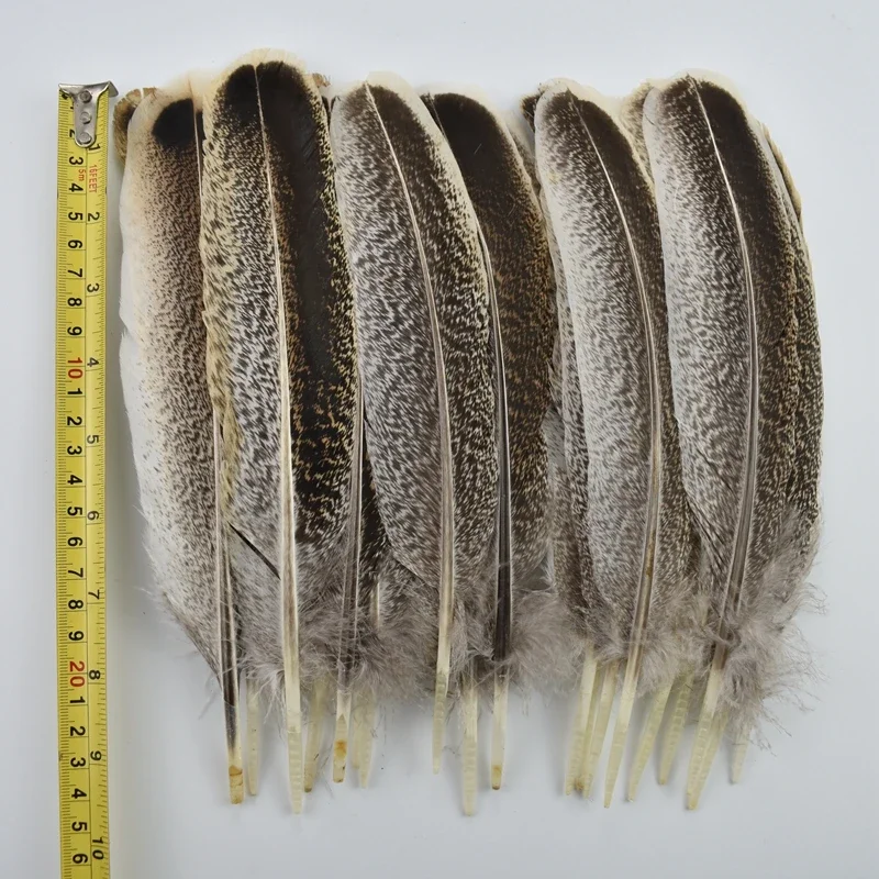 10Pcs/Lot Natural Eagle Feathers for Decoration Crafts Hats Wedding Birds Pheasant Turkey Vase Decor Plumes Carnaval Assesoires