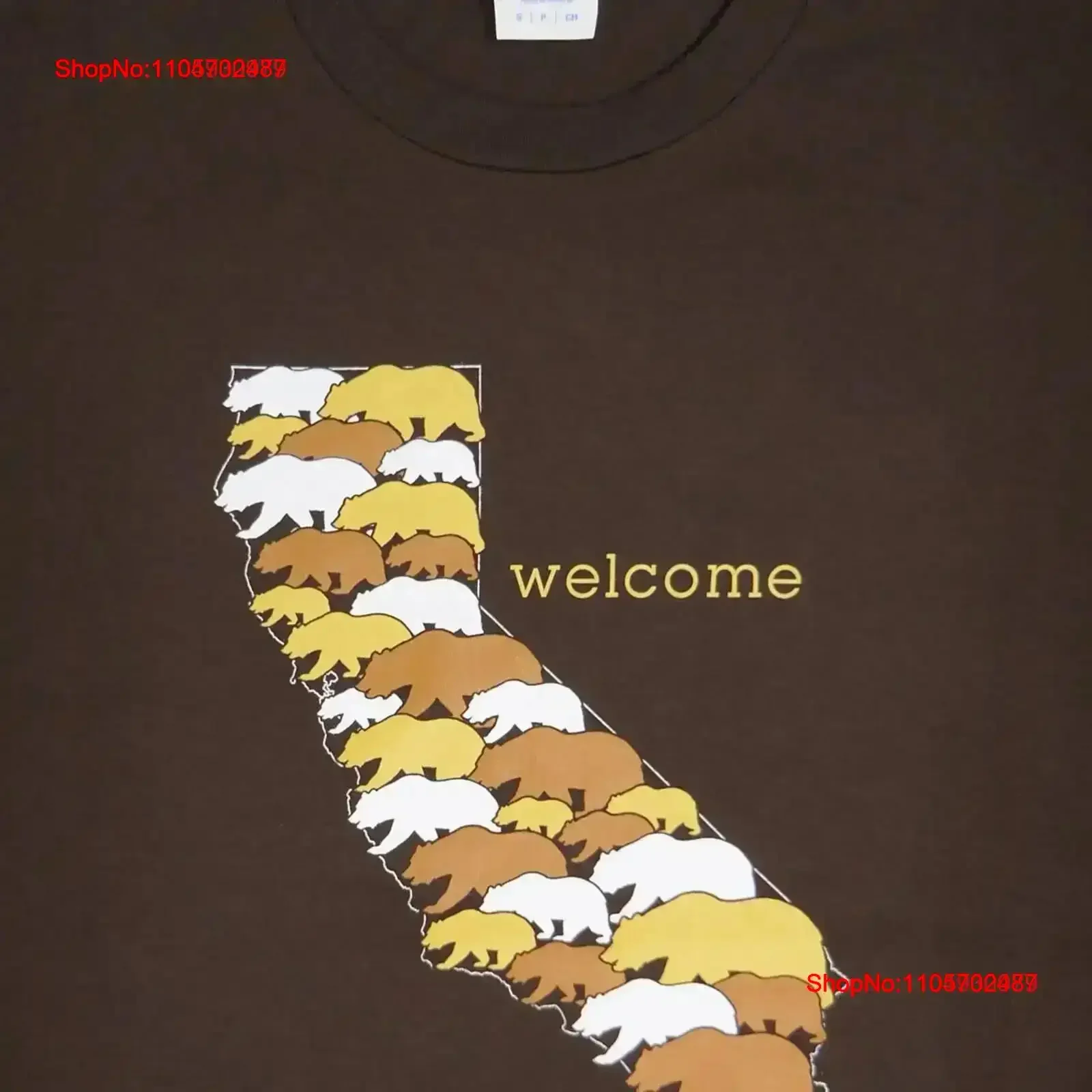Welcome California Unity Men's Chocolate Brown T shirt Diversity Harmony Stand Together CA Bear Cool Mens vintage Washed