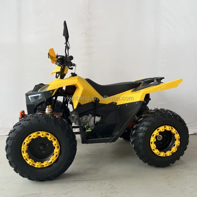 Hot Sale 125cc Automatic 1 Cylinder ATV 4 Stroke 2WD with CE Certification for Teens with Chain Drive