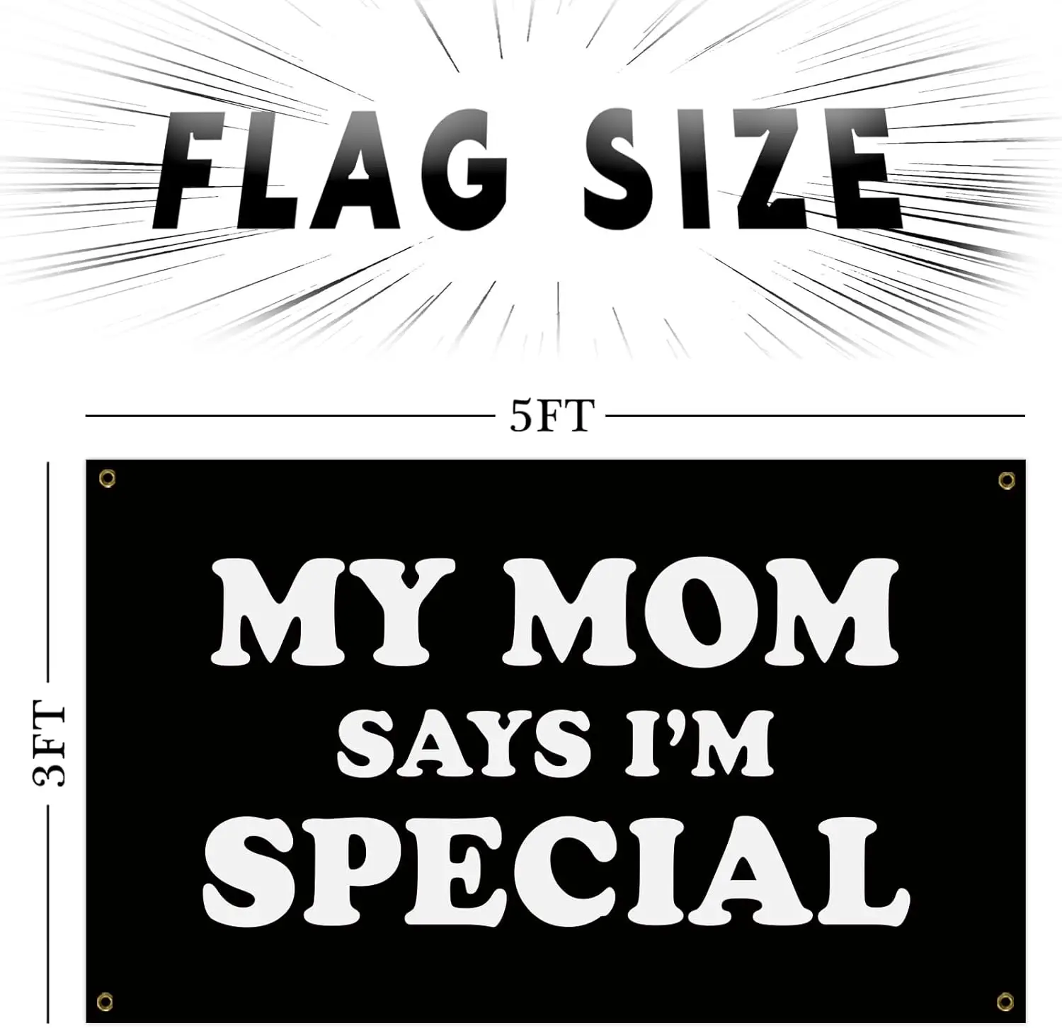 Flagicts 100% Polyester My Mom Says I'm Special Flag