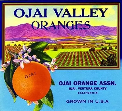 Metal Sign Wall Plaque Orange Citrus Fruit Crate Label Art Retro Decor House Home Metal Poster Tin Signs 8X12 Inch sign