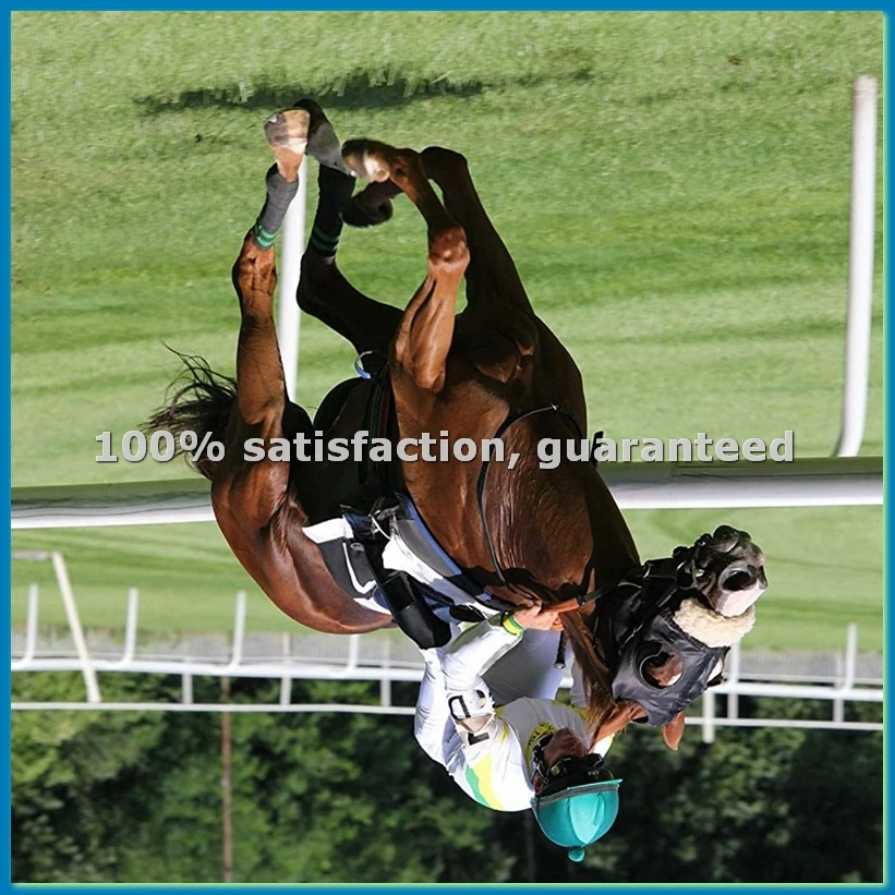 

Набор профессиональных ковочных инструментов из 5 предметов с кусачками для копыт 14 дюймов, инструменты для ухода за копытами лошадей, крупного рогатого скота, овец и ослов - ANKL