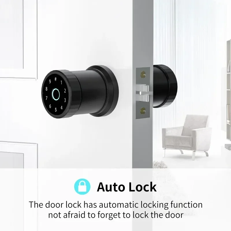 

Smart Fingerprint Password Lock Indoor Office Apartment Spherical Replacement Lock Tuya APP Lock