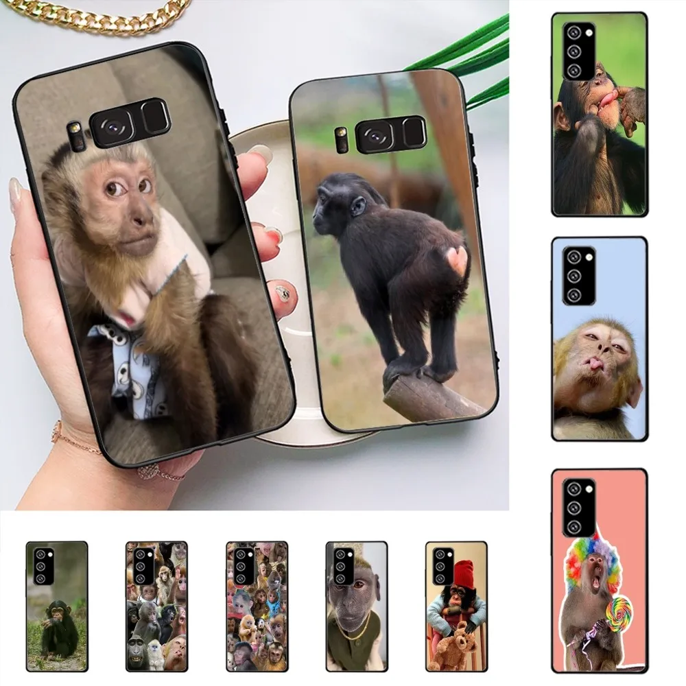 Monkey Sipping Caprisun Meme Phone Case For Samsung A 10 11 12 13 20 21 22 30 31 32 40 51 52 53 70 71 72 73 91 13 shell