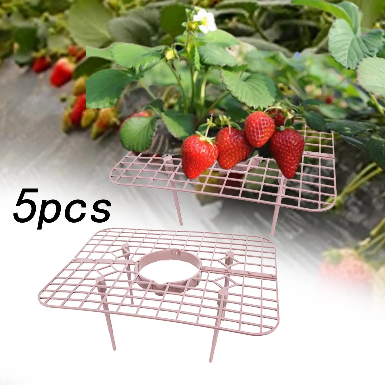 5x Strawberry Plant Supports Stand Frame Lawn Outdoor Growing Holder Rack