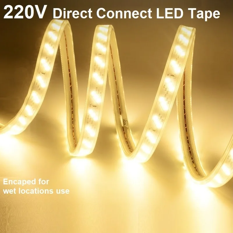 

12mm AC220V Driverless LED Tape for Outdoors Use, 100m/spool, Direct Connect Main Voltage