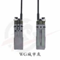 WG