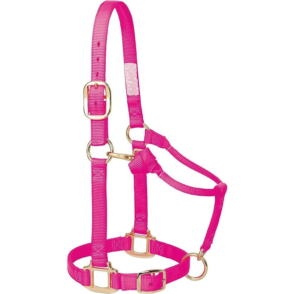 Customizable Ecofriendly Material Rope Horse Halters Bridle Synthetic Saddle Style Various Colors Sizes Custom