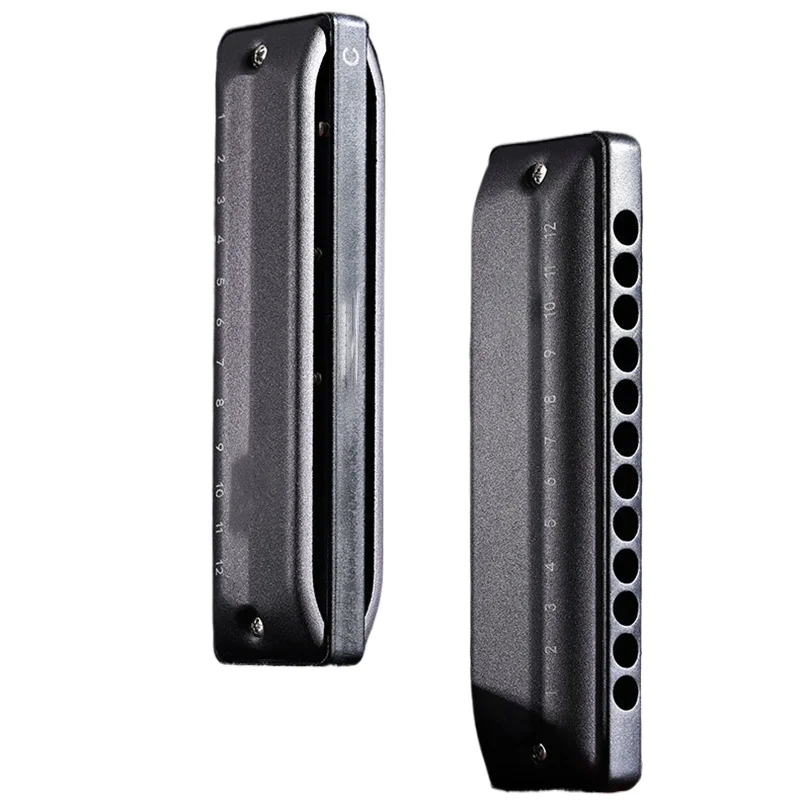 

Губная гармошка с 12 отверстиями, профессиональная блюзовая диатоническая губная гармошка для начинающих, дружелюбная C-ключ, губная гармошка, портативные гармошки для детей