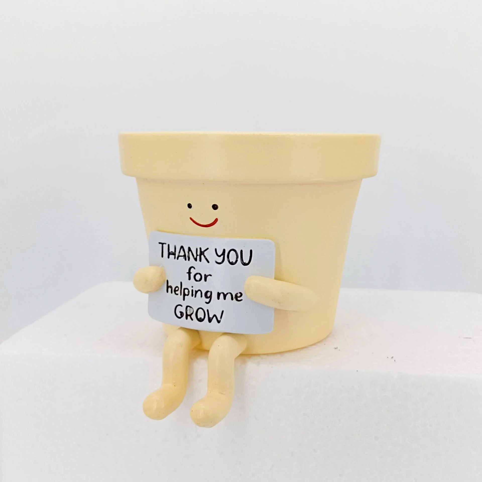 

Мини-горшок для суккулентов с эмодзи-смайликом для декора стола и домашнего офиса