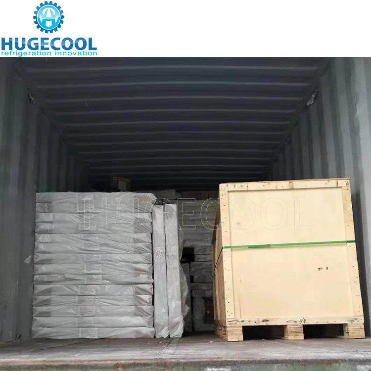 Conservazione a freddo Congelamento del congelatore Camminata nella stanza fredda per patate, carne, pesce, pollo, frutti di mare con unità di refrigerazione