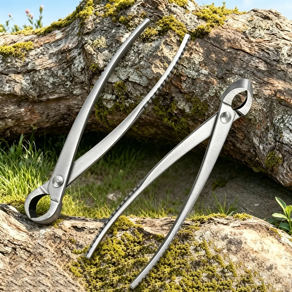 

Stainless Steel Bonsai Pruning Scissors Gardening Ball Joint Flat Oblique Cutting Bonsai Shaping Pruning Tool