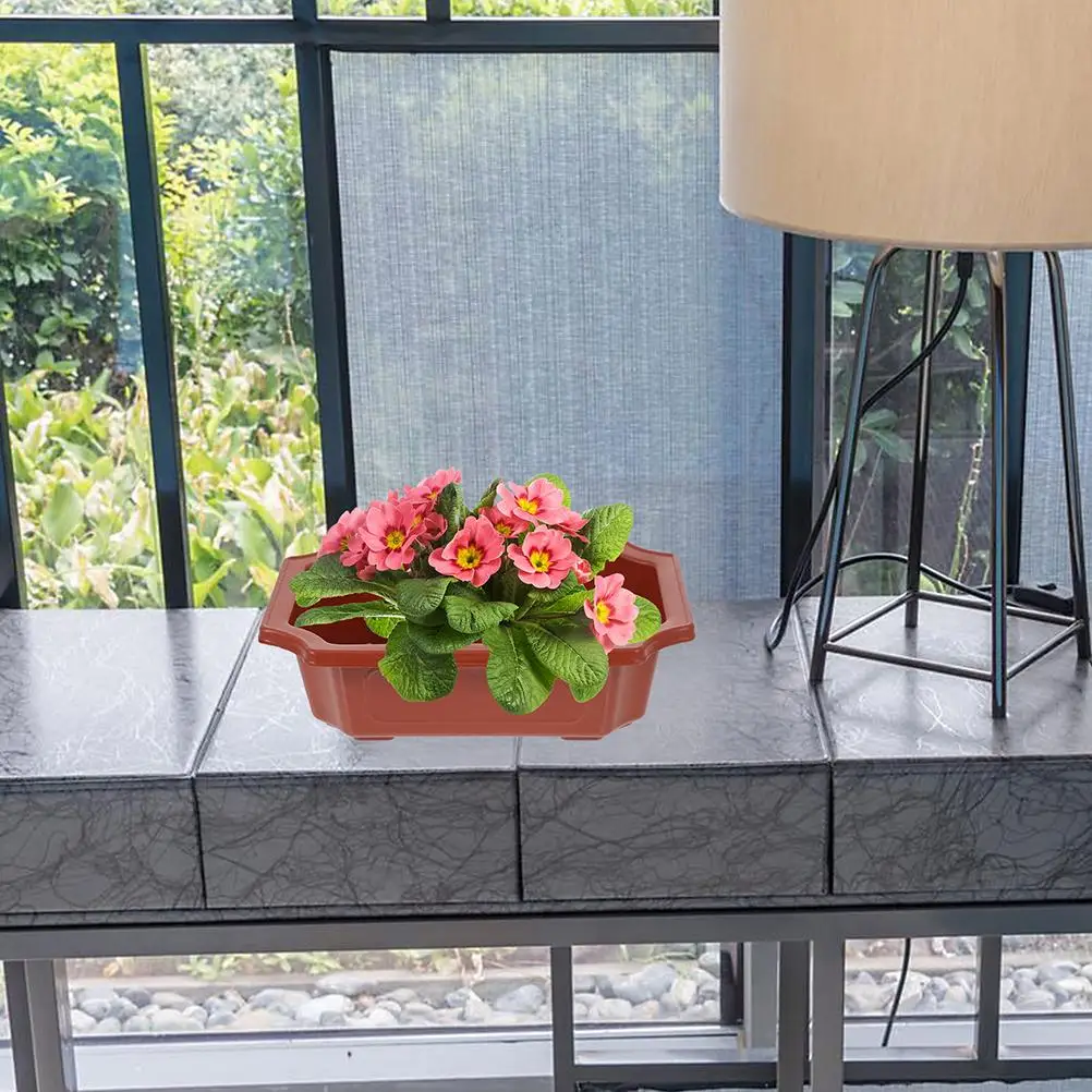 5 PCS Container Bonsai Pot Plants Rectangular Planter Plastic Drainage Holes Flowerpot