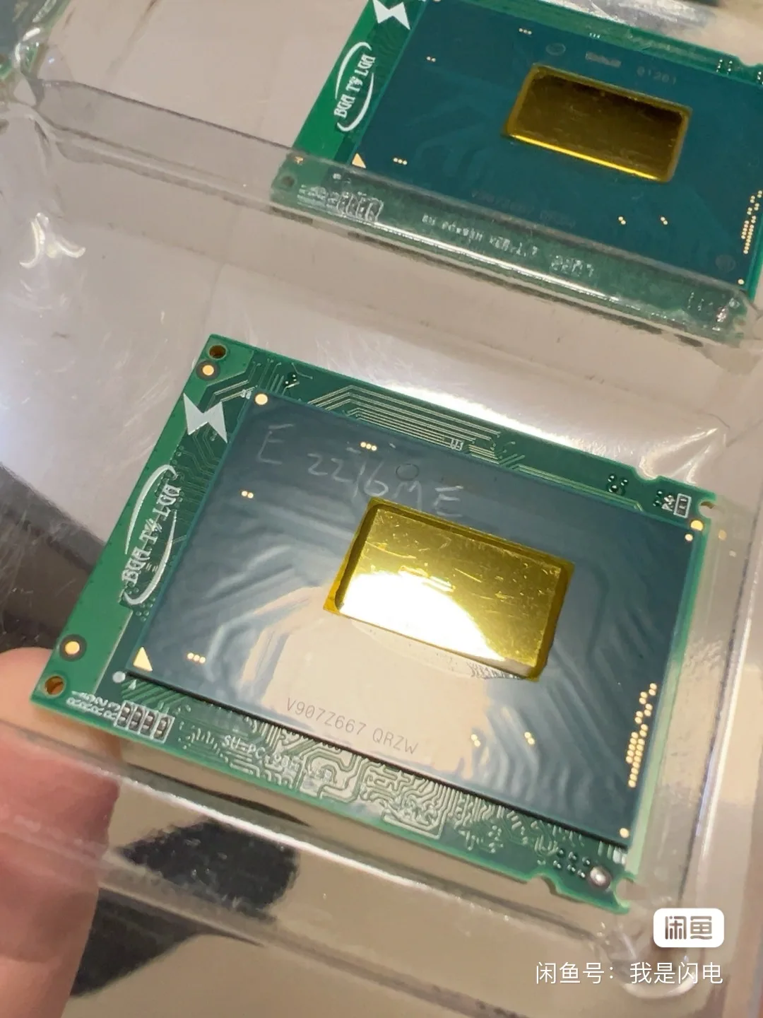 QRZW E2276ME عرض الإصدار التجريبي ، ستة النوى واثني عشر خيوط ، Orthergasia