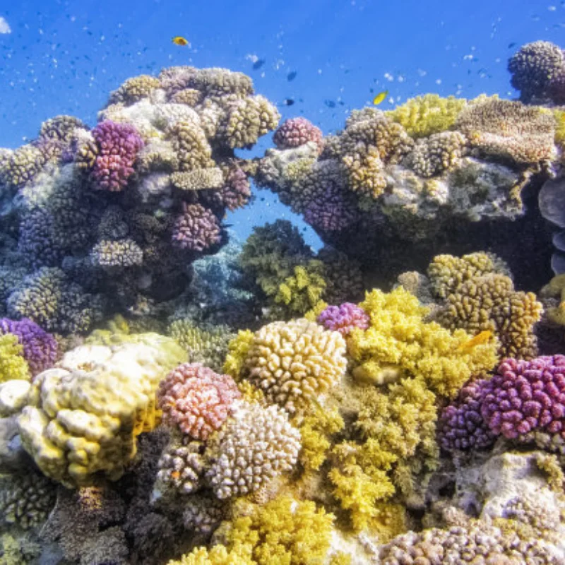 

1,9/2,2 дюйма, 123 мм для 1/10, имитационный альпинистский автомобиль TRX-4 SCX10 AXIAL 90046, резиновая супермягкая шина с губчатой подкладкой