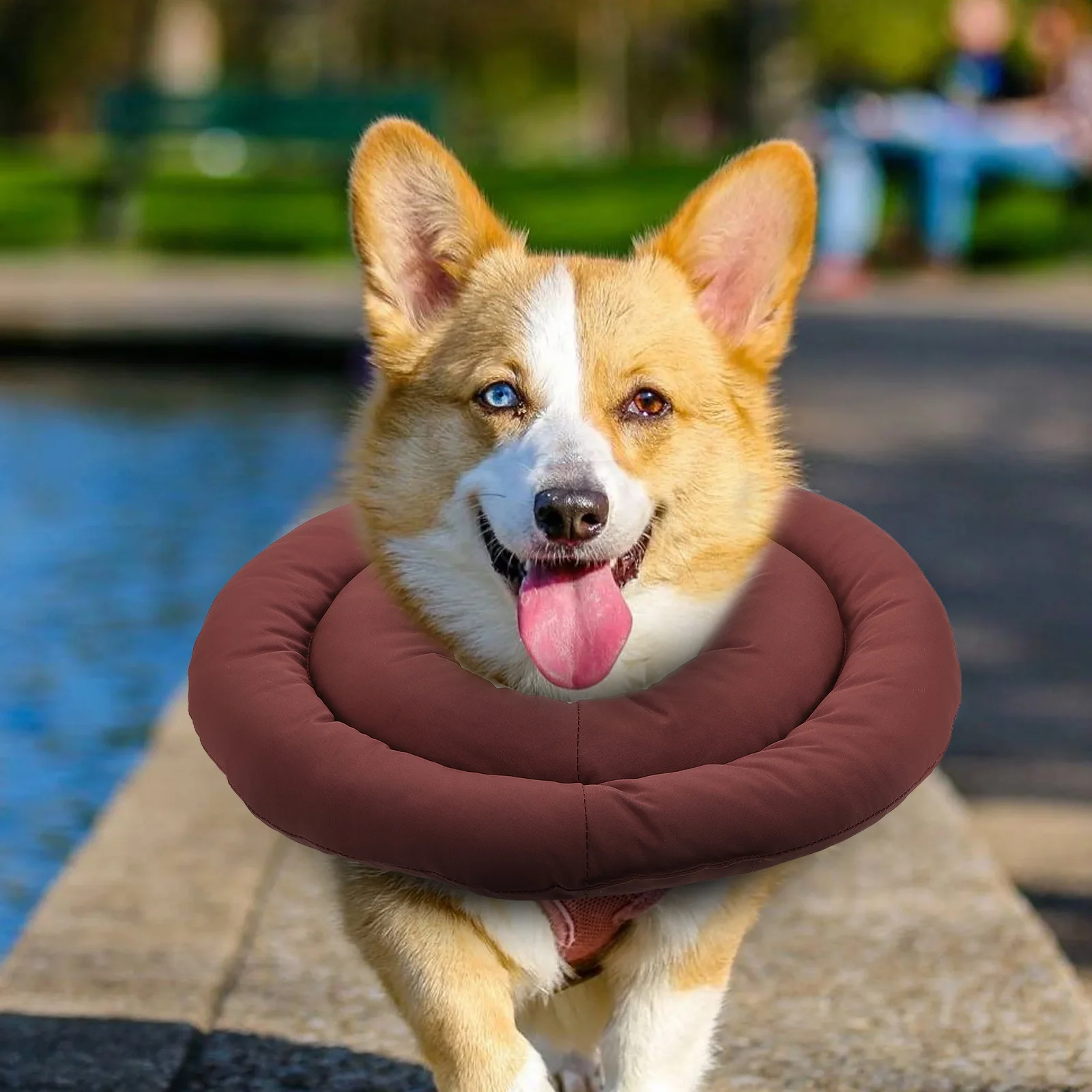 

The Dog Tarcoal Collar Custom Cat Waterproof Cloth Is Filled with Pp Cotton for Cats Wearable