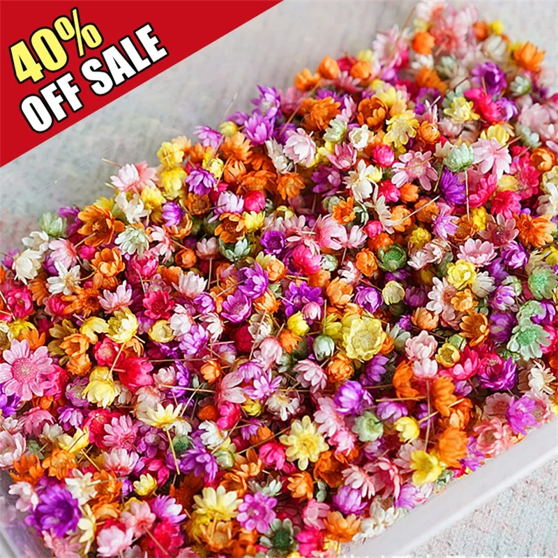 140Pcs/Bag Dried Flowers Multicolor Mini Dried Flowers DIY art craft candle making Dry embossed flowers for court party Decorati