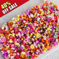 140 Pz/borsa Fiori Secchi Multicolor Mini Fiori Secchi FAI DA TE arte artigianale candela che fa Fiori Asciutti in rilievo per la decorazione del partito di corte