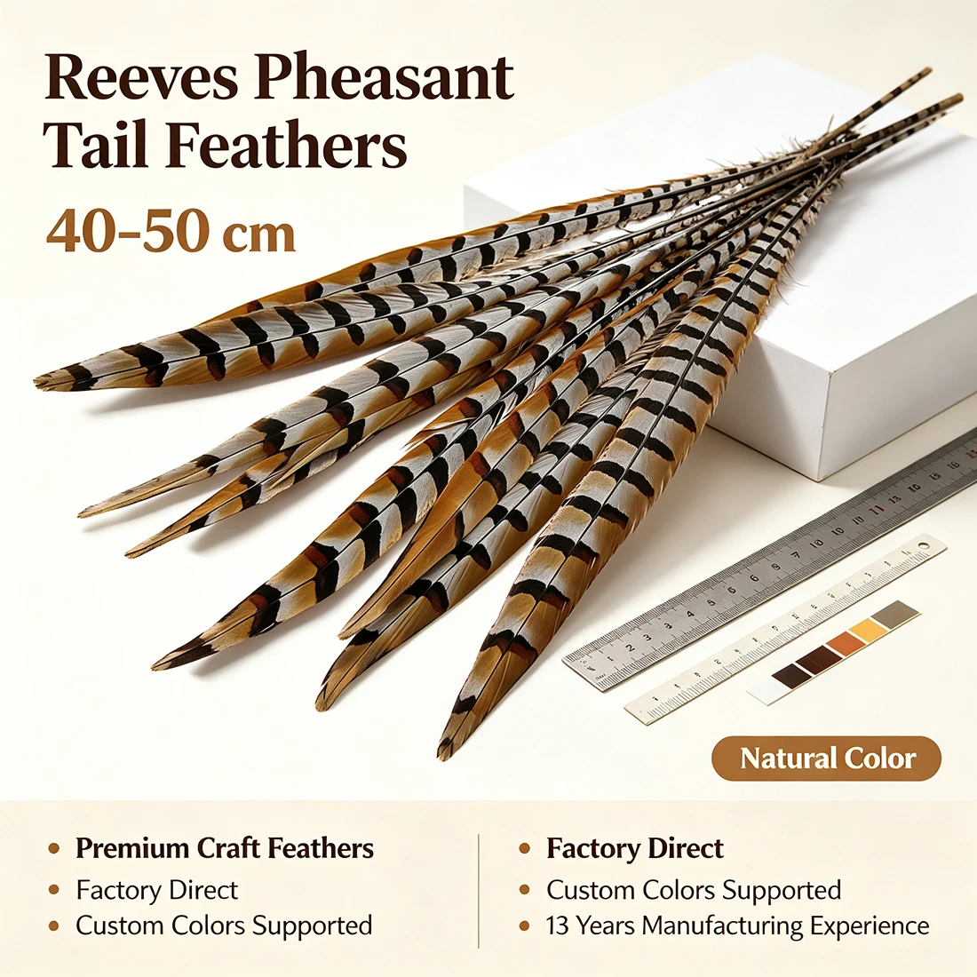 Reeves Pheasant Feathers 40-50cm 16-20 Inch for Crafts DIY Art Home Decor Natural Feathers for Wreaths Flowers And More