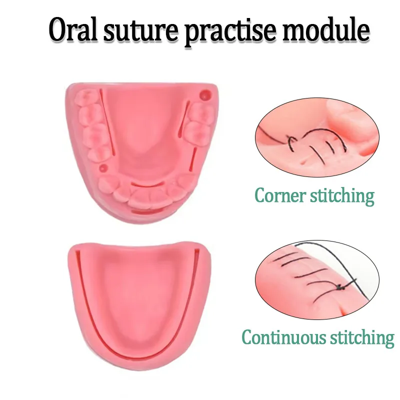 2Pcs/set Dental Oral Gum Suture Training Module Silicone Materials Periodontitis Suture Model teaching and training equipment