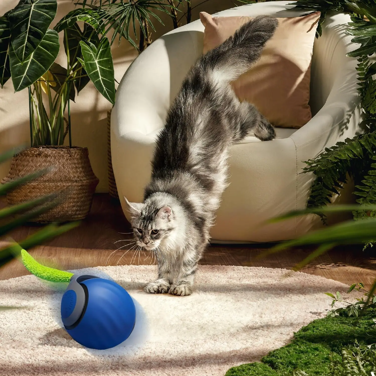 Speedy Tail 3.0 Cat Toys, 2025 Upgraded Speedy Tail Interactive Cat Toys for Indoor Cats, Automatic Cat Toy Cat Ball Toy