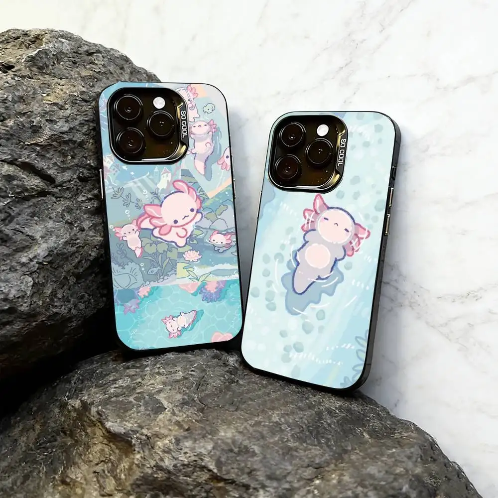 

Cute axolotl Phone Case For iPhone 17,16,15,14,13,12,11 Plus,Pro Max,XS,Colorful Silver Black Cover